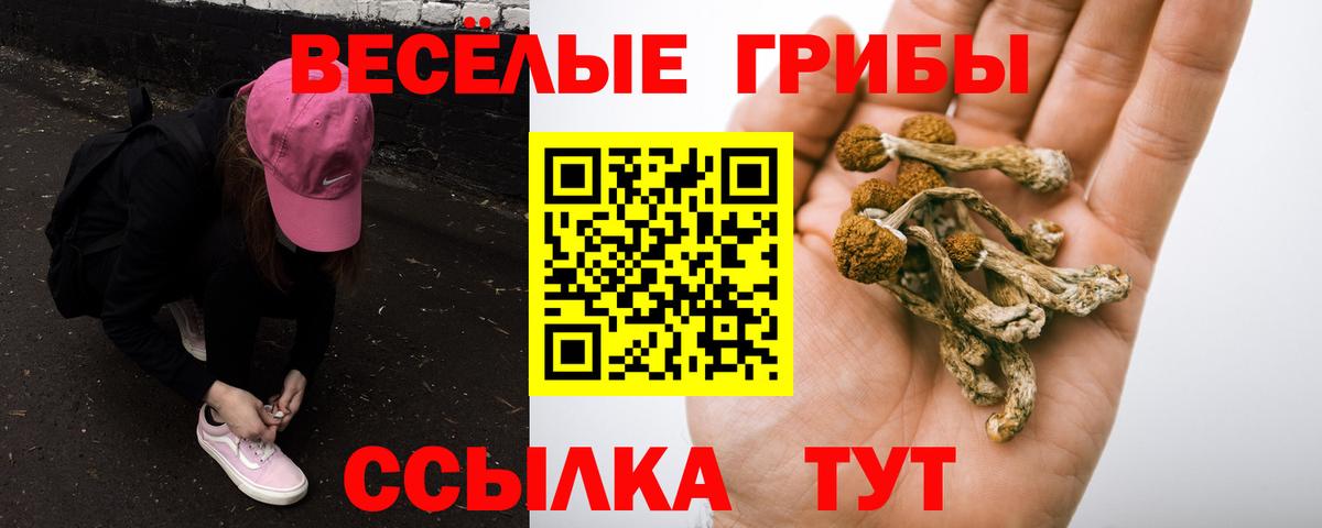 Меф мяу мяу Лосино-Петровский